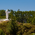 DSC 3986