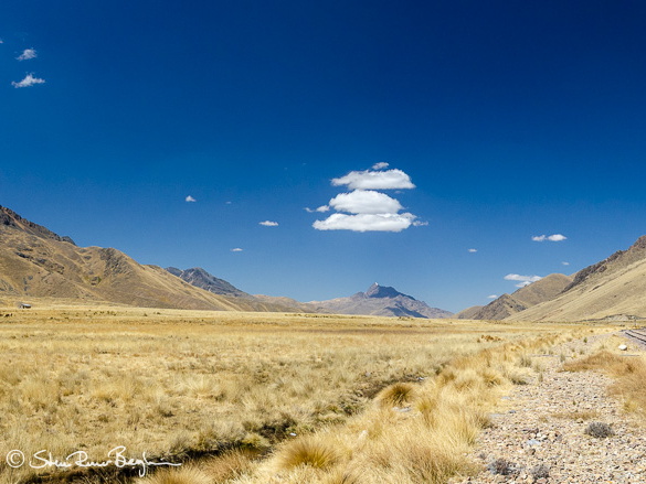 DSC 4092-Pano