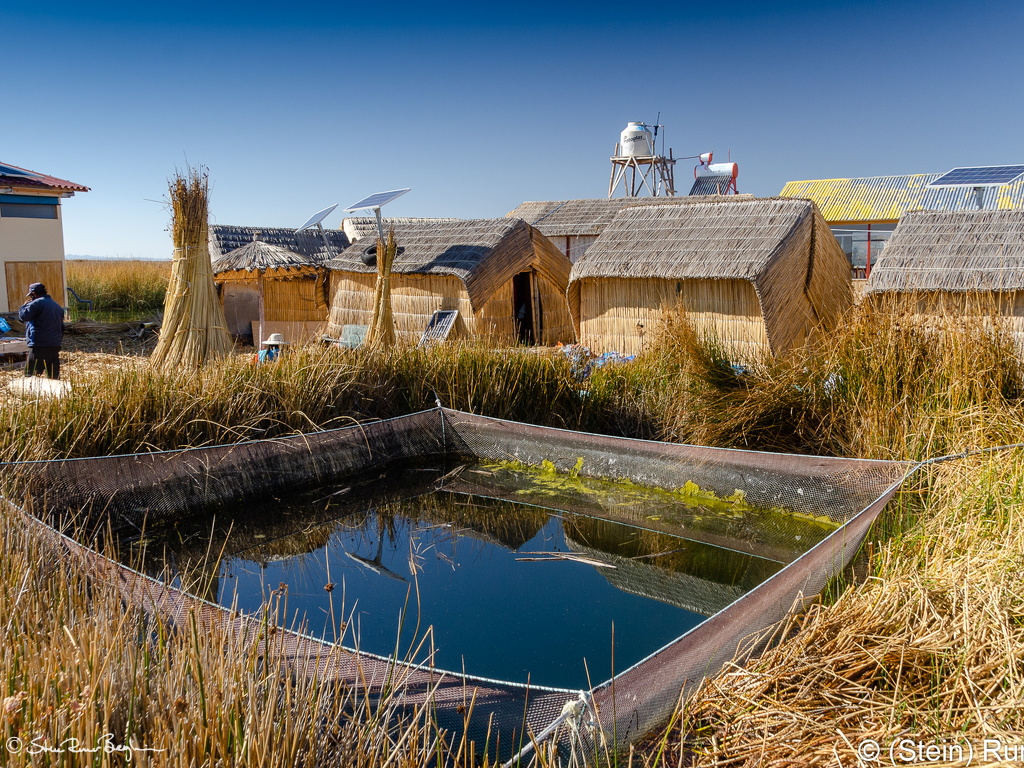 Fish farm on floating island, Uros, Titicaca