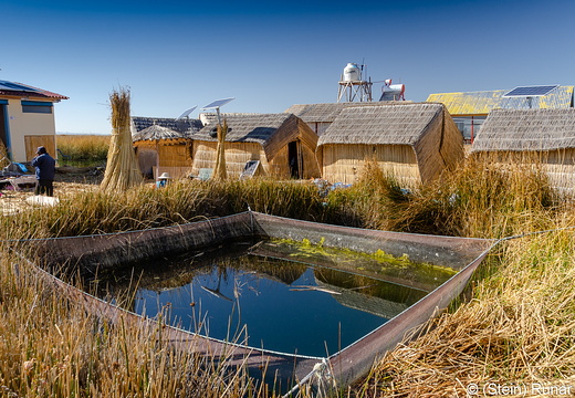 Fish farm on floating island, Uros, Titicaca