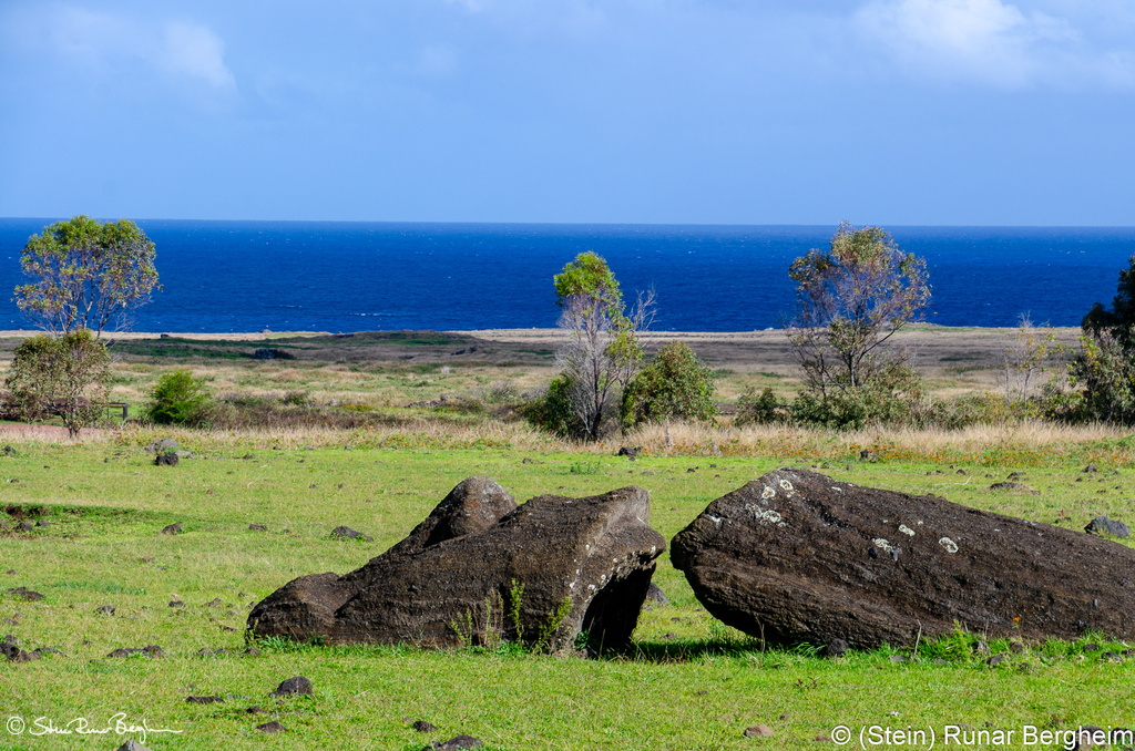 Tumble-down Moai at Rano Raraku