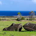 Tumble-down Moai at Rano Raraku