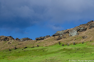 Moai in Rano Raraku crater