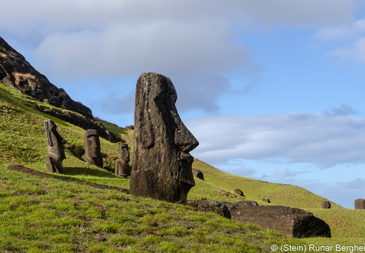 Moai on the southern slope of Rano Raraku