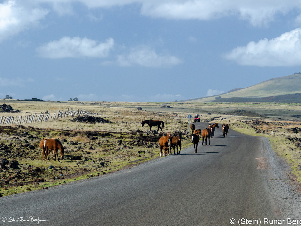Souther coast of Easter Island