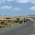 Souther coast of Easter Island