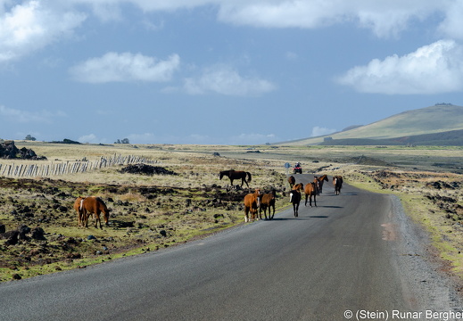 Souther coast of Easter Island