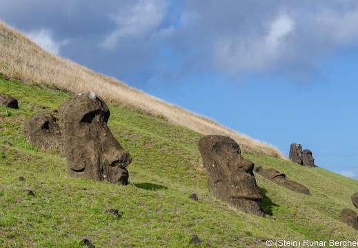 Moai at Rano Raraku