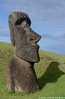 Moai on the southern slope of Rano Raraku