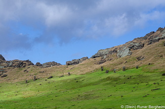 Moai in Rano Raraku crater