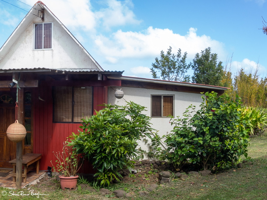 DSC01801-Pano