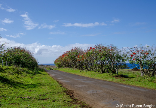 DSC 5202
