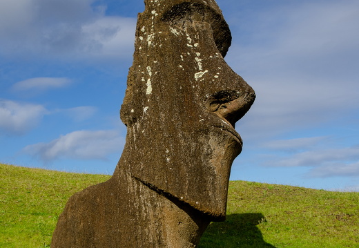 Moai at Rano Raraku