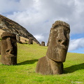 Moai at Rano Raraku