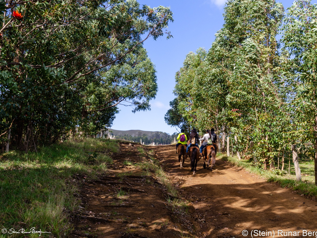 Road to Monte Terevaka