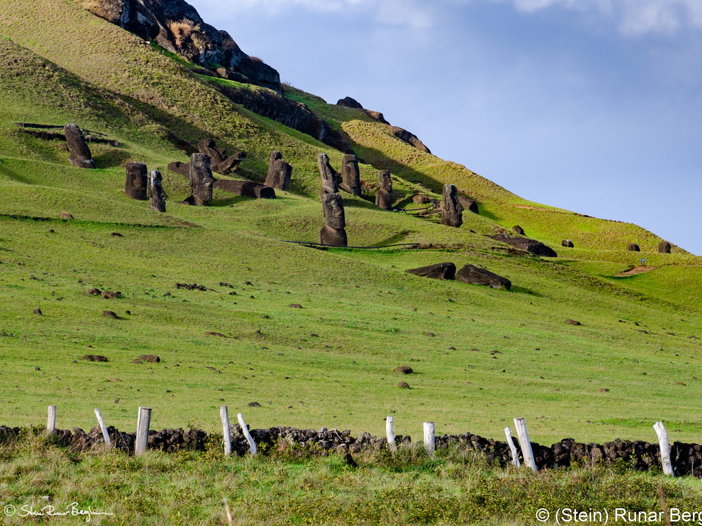 Moai on the southern slope of Rano Raraku