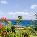 Ahu Ko Te Riku
