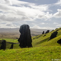 Moai at Rano Raraku