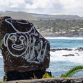 DSC 5278