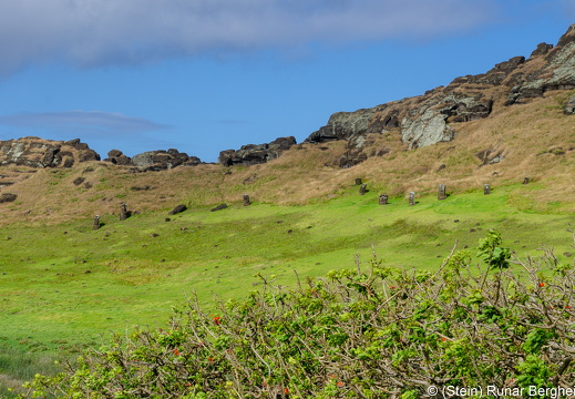 Moai in Rano Raraku crater