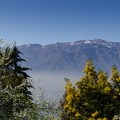 DSC 5405