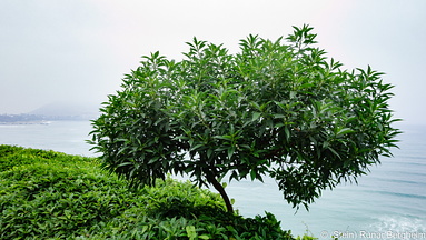 DSC01846