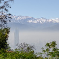 DSC 5443
