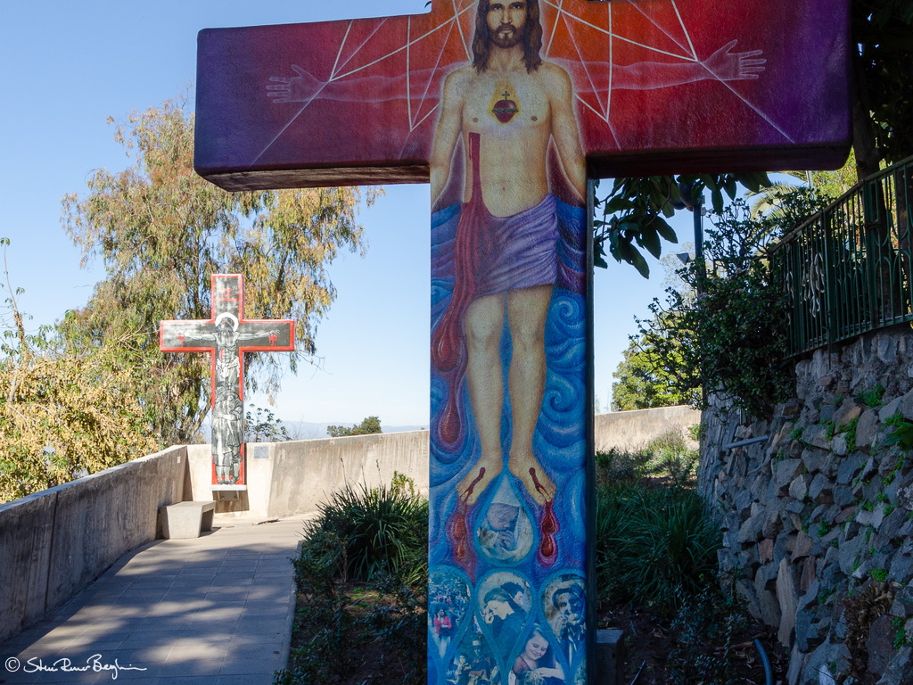 DSC 5402