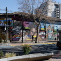 DSC 5463