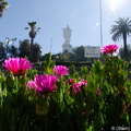 DSC 5433