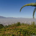 DSC 5454