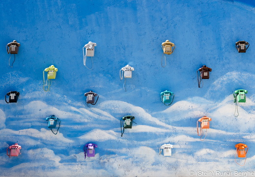 20190313-DSC 2766
