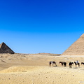 Horses and riders in front of the Pyramids of Giza