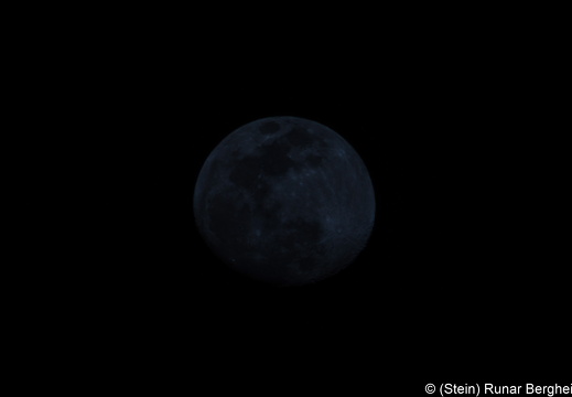 20190318-DSC 3201