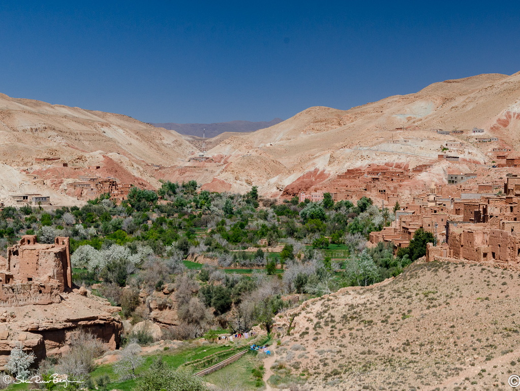 20190314-DSC 2955-Pano