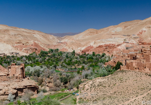 20190314-DSC 2955-Pano