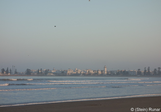 20190316-DSC00828