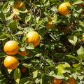 20190311-DSC00528