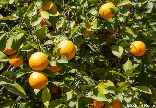 20190311-DSC00528