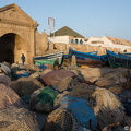 20190315-DSC00717