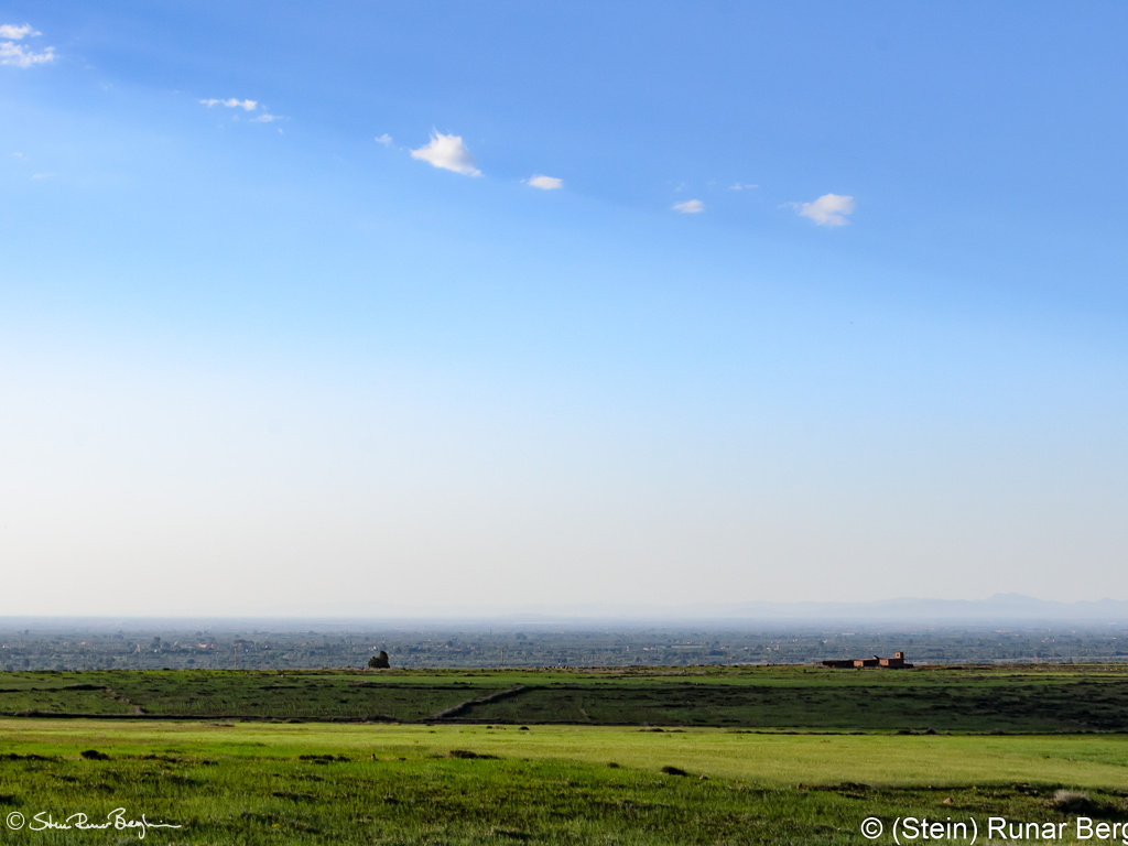 20190314-DSC 3036