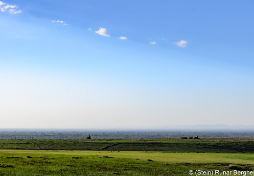 20190314-DSC 3036
