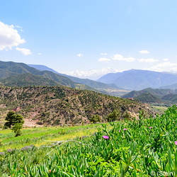 Ourika Valley, Morocco, March 2019