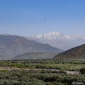 20190312-DSC 2660