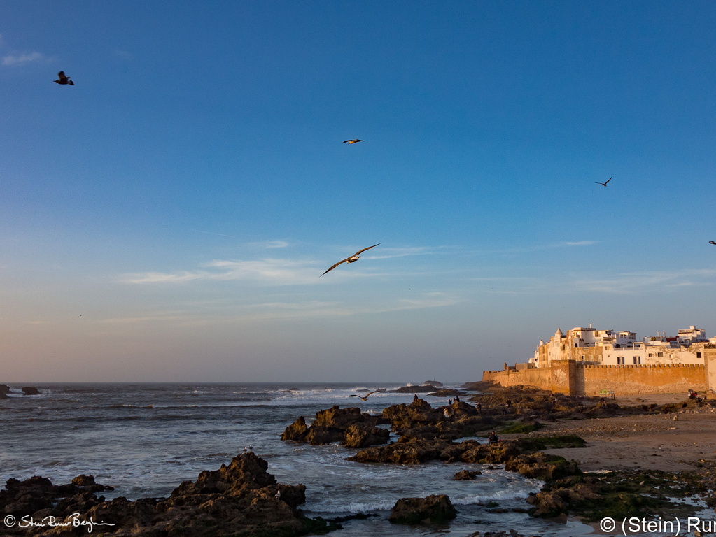 20190315-DSC00734