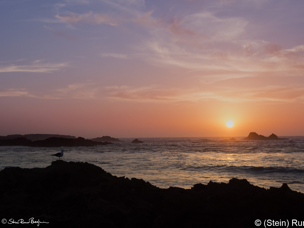 20190315-DSC00757