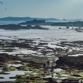 20190316-DSC00871