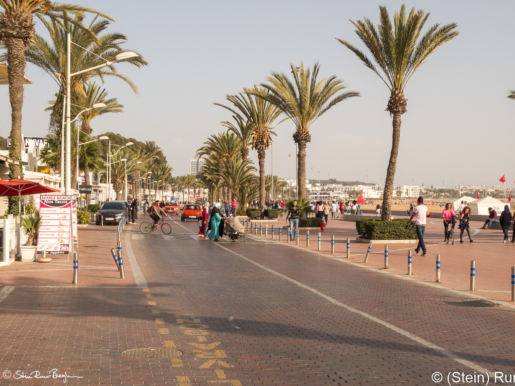 20190317-DSC00885