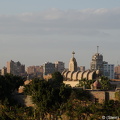 20190105-DSC 2550