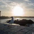 20190315-DSC00711